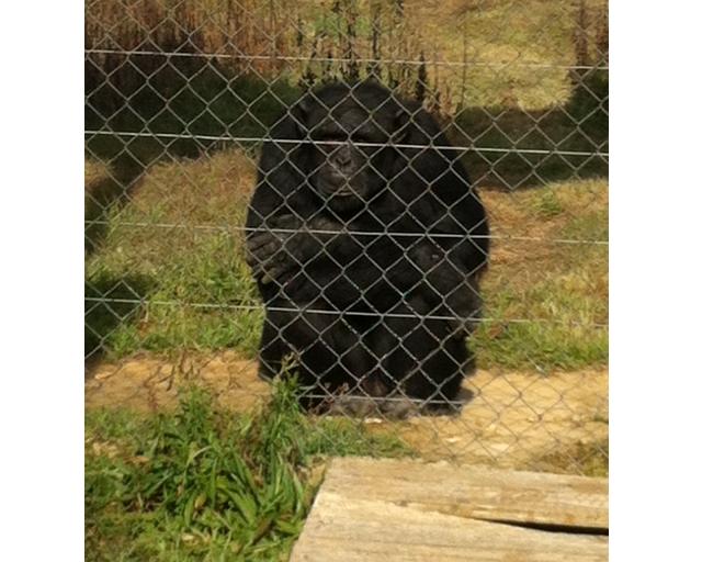 Imagen original de Diego Sánchez