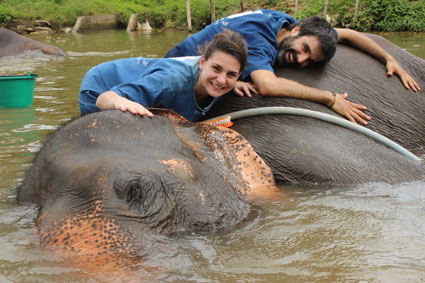 Abrazo a un elefante que se refresca en la charca del campamento Baan Chang, en Chiang Mai
