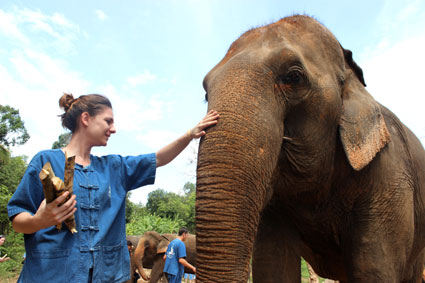 Esther se acerca a un elefante con varios tallos de caña de bambú, en Baan Chang (Chiang Mai).