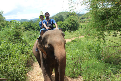 Paseo a lomos de un elefante en medio de la selva, en el Baan Cahng, Ciang Mai.