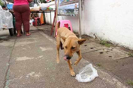 La madre de Pai después de comer unas brochetas que le habíamos comprado, en la calle principal de la villa, Tailandia.