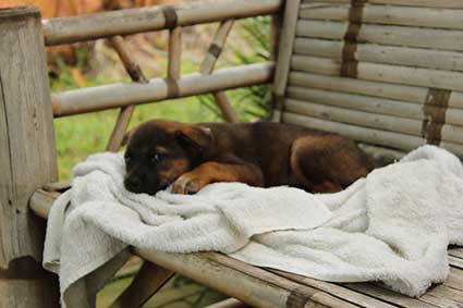 La pequeña Pai descansa hecha un obillo con la toalla después de la ducha, Tailandia.