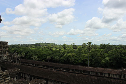 La selva rodea los restos de los templos de Angkor Wat (Camboya).