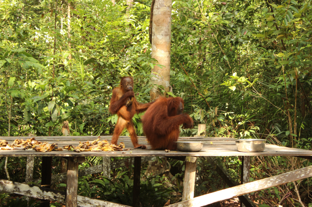 Captura de pantalla 2022-02-07 a las 12.12.18