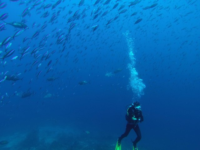 Banco-sobre-mi-cabeza