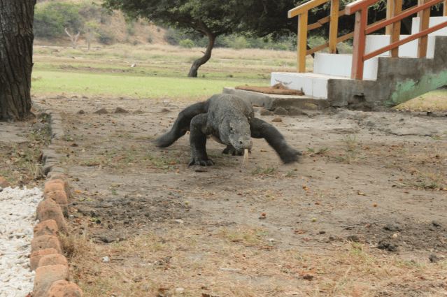 Captura de pantalla 2022-02-08 a las 17.56.19