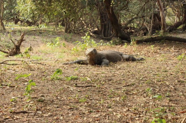 Captura de pantalla 2022-02-08 a las 17.58.44
