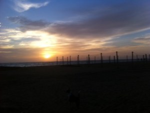Atardeccer en la playa de Negombo, Sri Lanka.