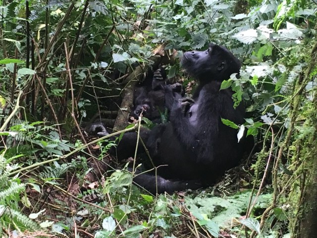 d1dca688-80df-4d6d-998b-8d0464325c3d