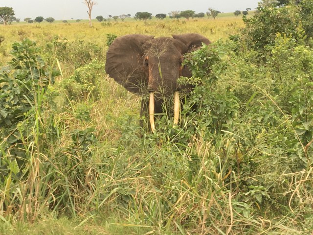 EB3E94AA-29F7-489C-A75F-D3314AC25858