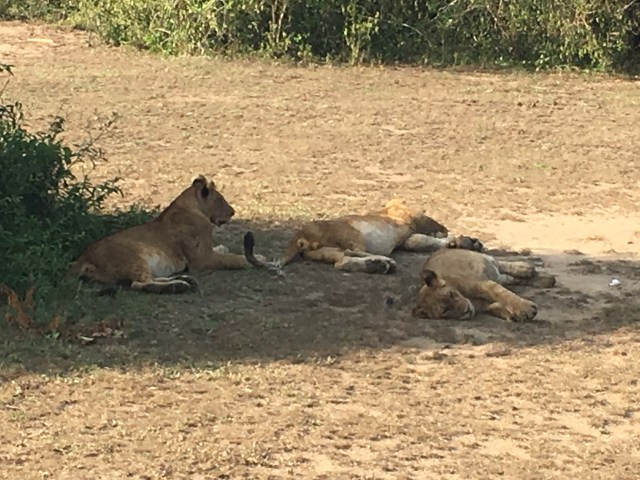 F25A78F1-35B8-4265-9C6D-457803187483