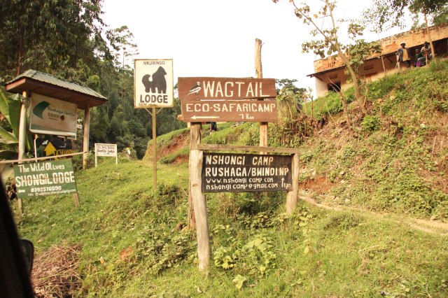 IMG_4053-CARTEL-LODGEweb