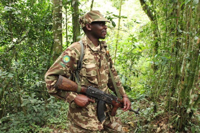 IMG_4144-Soldado-web