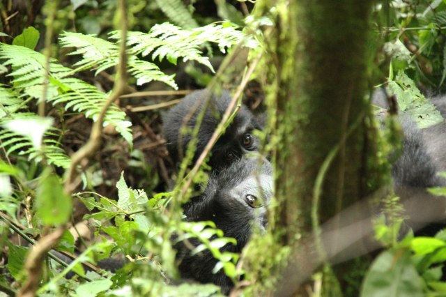 IMG_4433-MIRADAS-PP-web