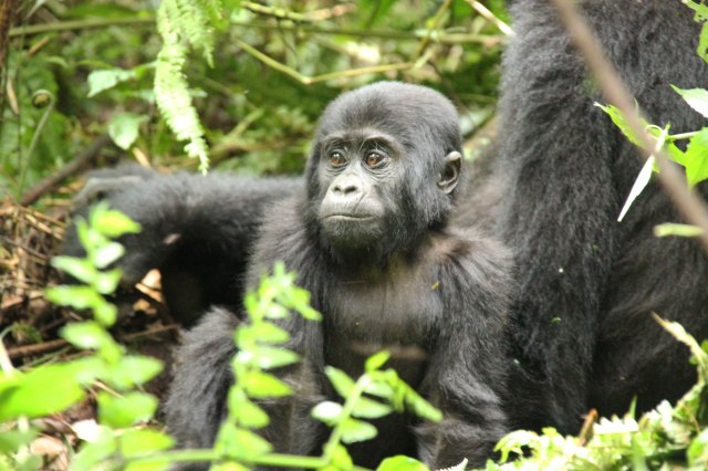 IMG_4498-CRIA-PP-web