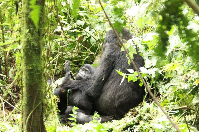 IMG_4543-CRIA-CON-MADREWeb