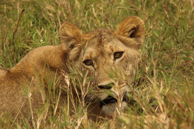 IMG_5896-leona-mira-camara-Web