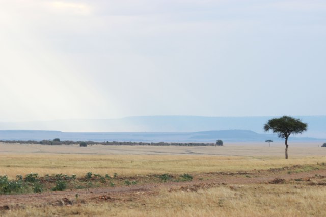 IMG_6089-Haces-de-luz-Web-