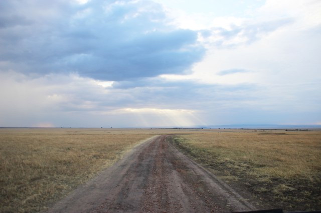 IMG_6100-Haces-de-luz-web