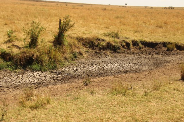 IMG_6435-charcha-seca-web