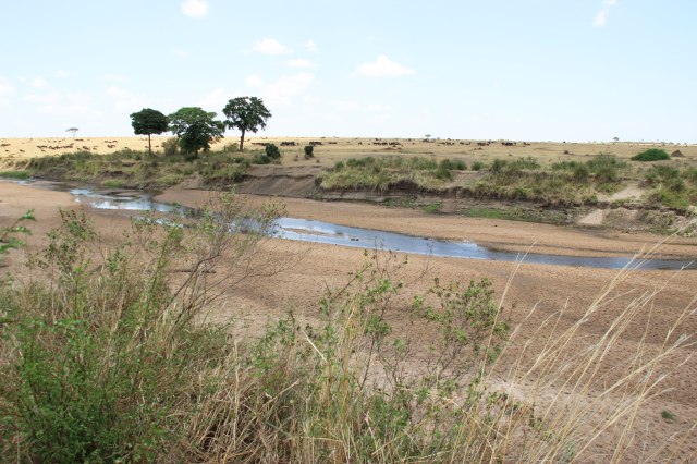 IMG_6459-Rio-MaraWeb