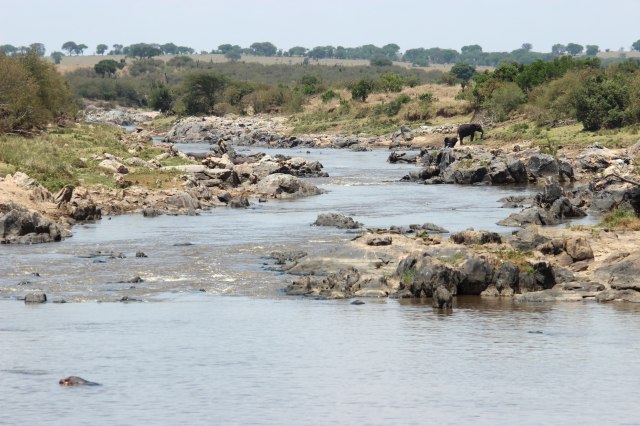 IMG_6490-Rio-Mara-Elefantes-y-agua-web