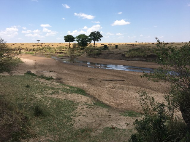 Río Mara en el PN de Masai Mara, Kenia.