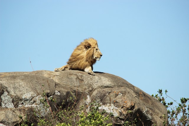 IMG_8644-LEON-MELENA-ROCA-Web