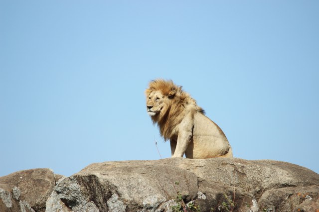 IMG_8717-LEON-ERGUIDO-ROCA-Web