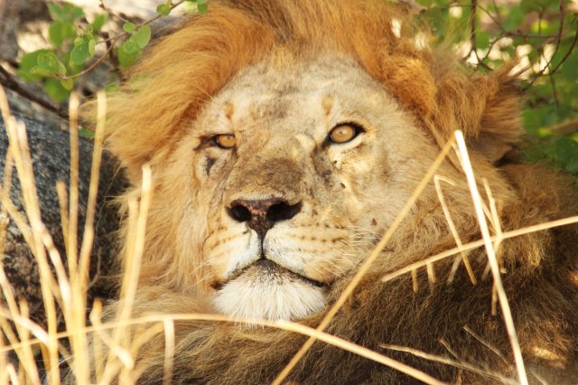 IMG_8744-LEON-CARA-PP-Web