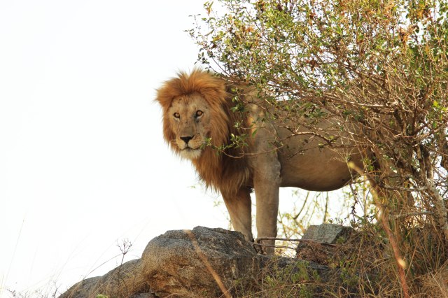 IMG_8809-LEON-MIRA-A-CAMARA-ROCAWeb