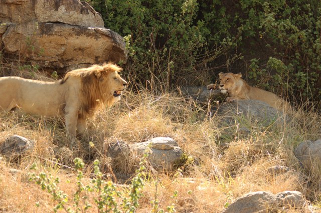 IMG_8831-LEON-Y-LEONA-ROCA-Web