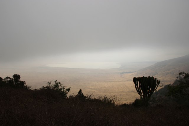 IMG_9183-CRÁTER-PG-Web