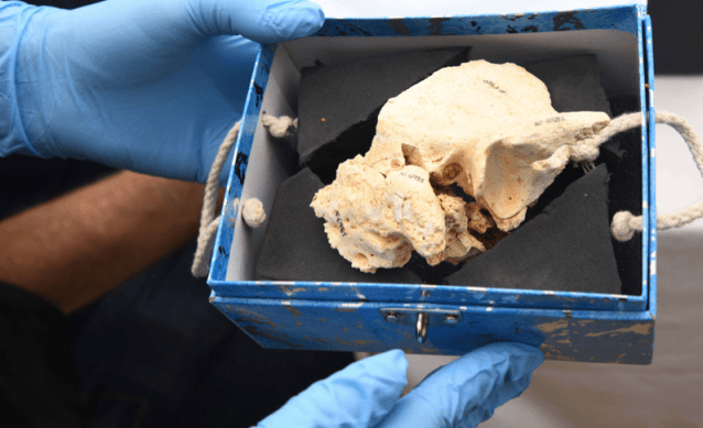 Captura de pantalla 2019-09-14 a las 21.21.43