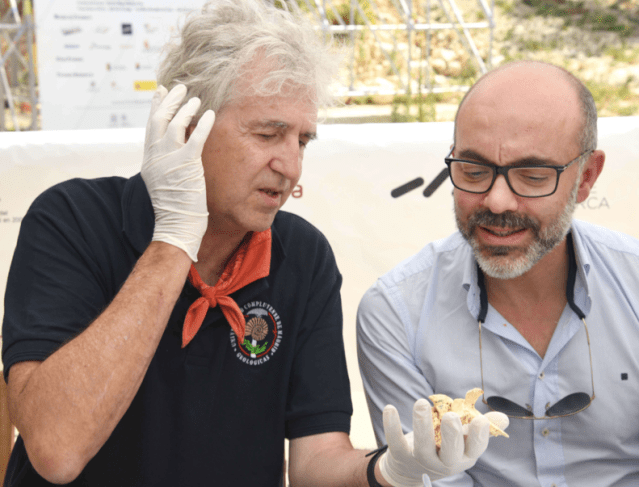 Captura de pantalla 2019-09-14 a las 21.31.30